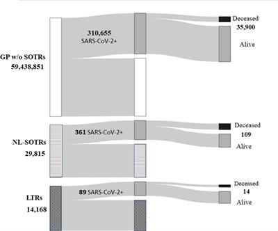 The Italian data on SARS-CoV-2 infection in transplanted patients support an organ specific immune response in liver recipients